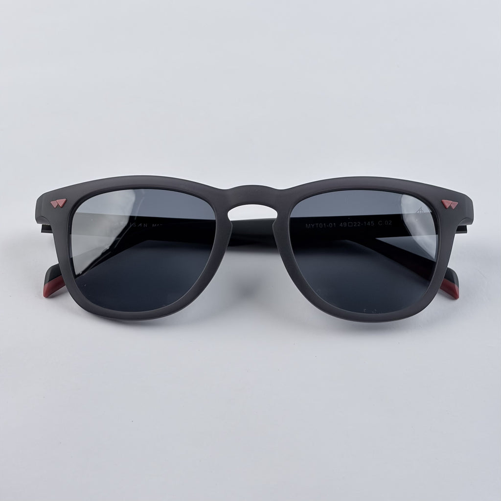 ARTISAN Lenses Polarized Size 145-22-49